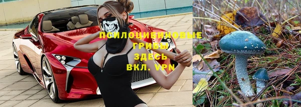 мяу мяу мука Балабаново