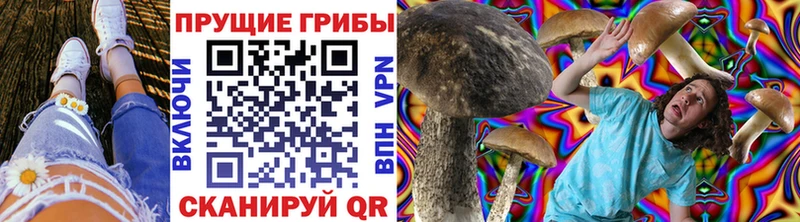 Галлюциногенные грибы Psilocybine cubensis  Петровск 
